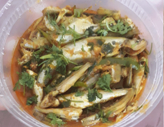 WhatsApp-Image-2025-11-03-at-11.47